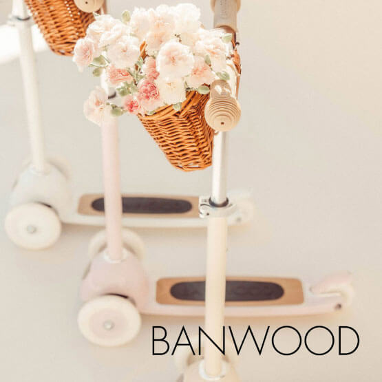 Trotinete banwood com flores